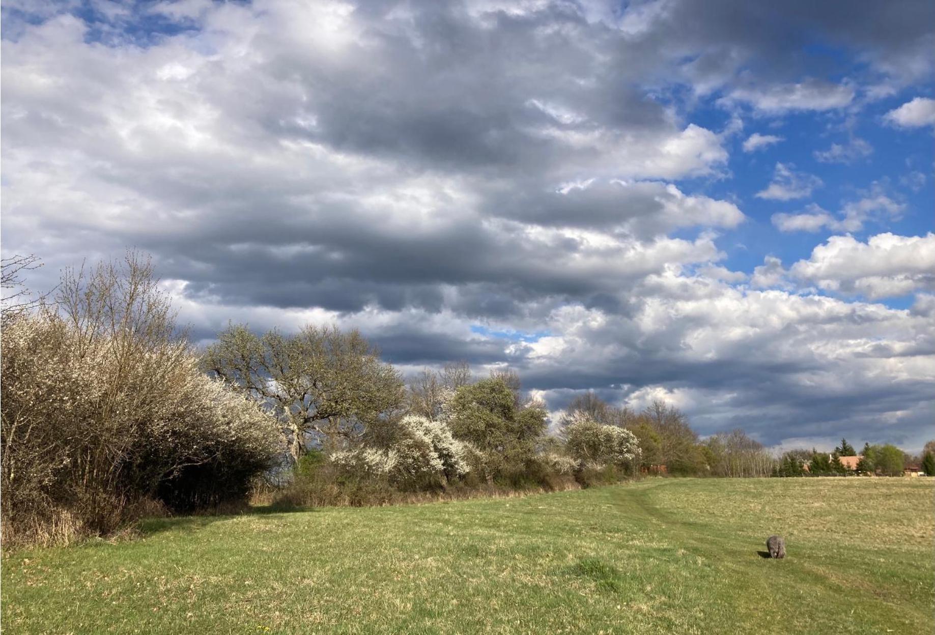 Naturpark Ferienhaus Szalafő Exteriér fotografie